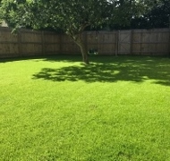 Dura Shade Turf In Torbay 